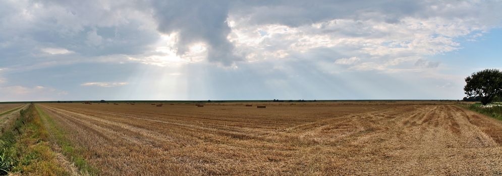 Beautiful high resolution panorama of a northern european country landscape with fields and green grass.