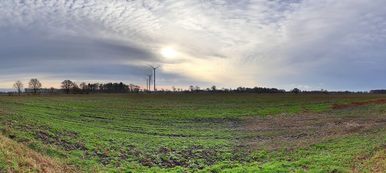 Beautiful high resolution panorama of a northern european country landscape with fields and green grass.