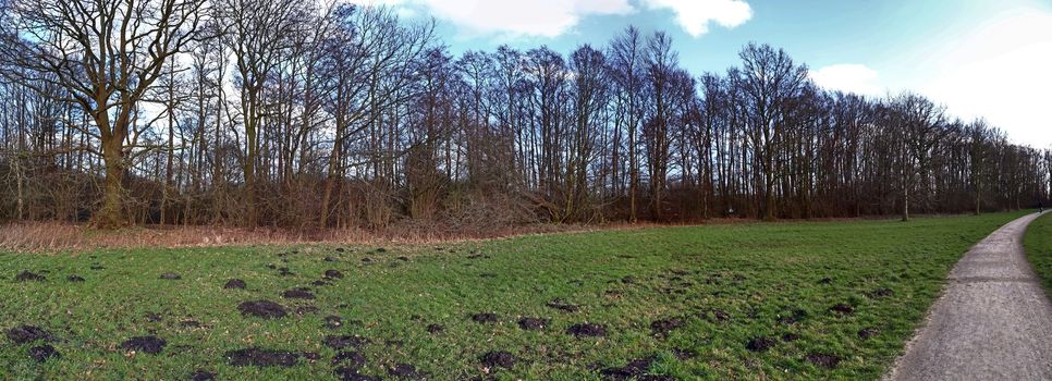 Beautiful high resolution panorama of a northern european country landscape with fields and green grass.