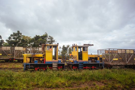 A sugar cane locomotive train near the Daintree in far north Queensland, Australia