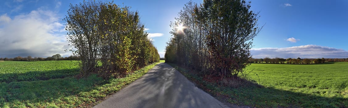 Beautiful high resolution panorama of a northern european country landscape with fields and green grass.