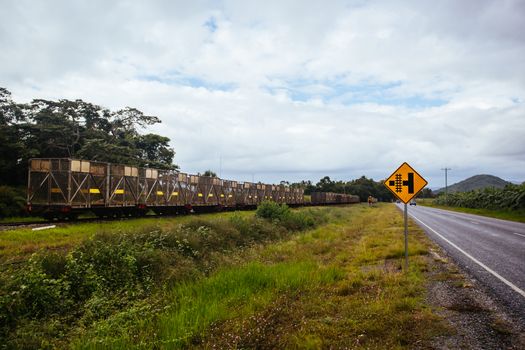 A sugar cane locomotive train near the Daintree in far north Queensland, Australia