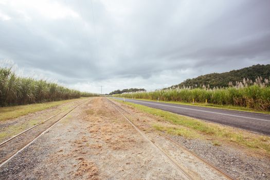 Sugarcane fields and railway tracks near the Daintree in rural Queensland, Australia