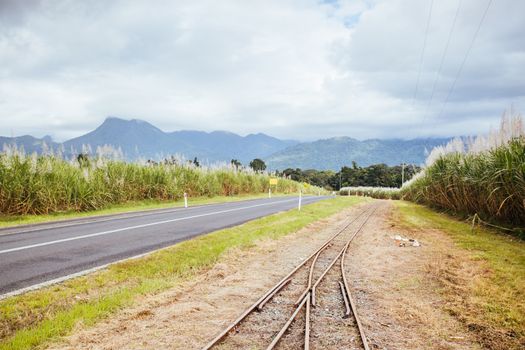 Sugarcane fields and railway tracks near the Daintree in rural Queensland, Australia