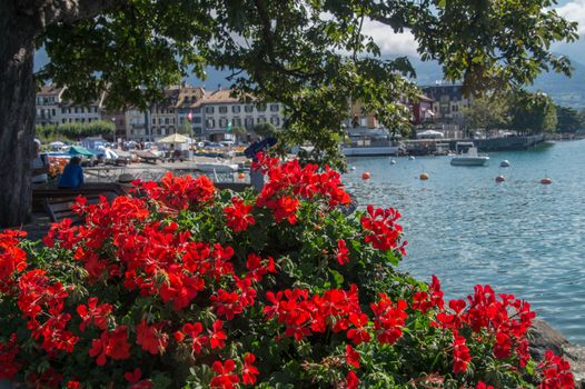 vevey,vaud,swiss