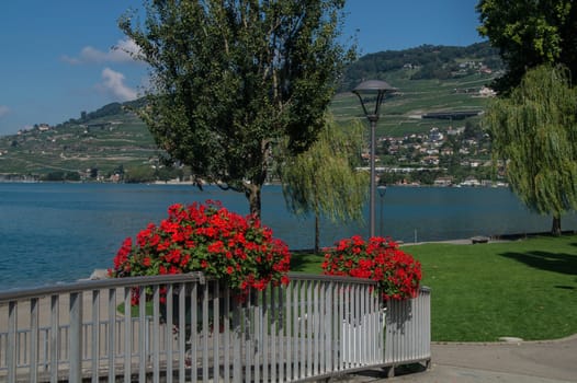 vevey,vaud,swiss
