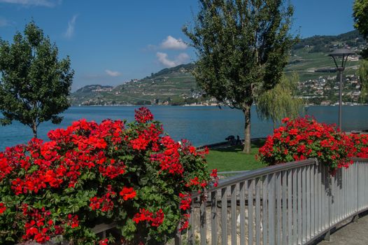 vevey,vaud,swiss