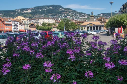 vevey,vaud,swiss