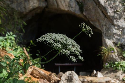 grotte,sonchaux,vaud,swiss