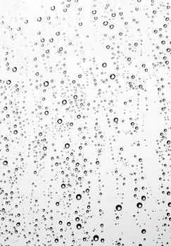 Drops of rain on the window (glass). Shallow DOF.