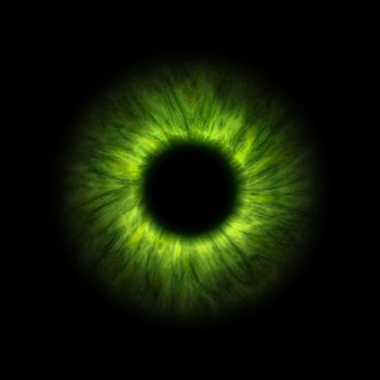 An illustration of a dark green human iris