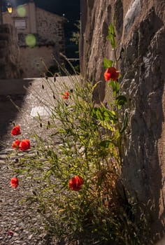 saint benois en dioos,drome,france