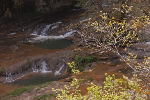 charmine,samognat,ain,france