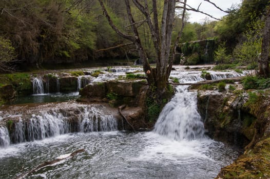 charmine,samognat,ain,france