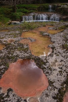 charmine,samognat,ain,france