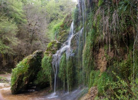 charmine,samognat,ain,france