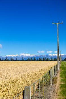 An image of Mount Taylor and Mount Hutt scenery in south New Zealand scenery in south New Zealand