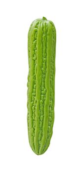 Isolate balsam apple, balsam pear, bitter cucumber, bitter gourd, bitter melon on white background 