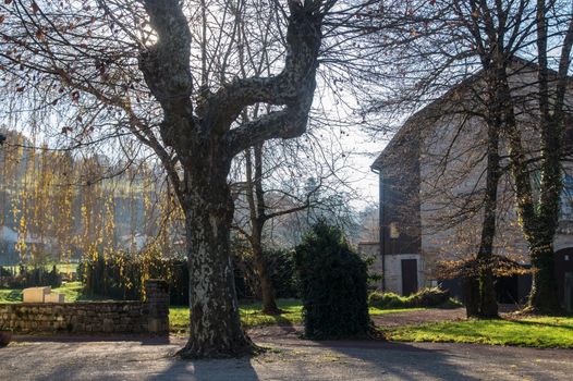 meillonnas,ain,france