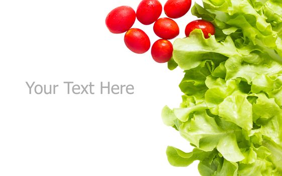 Fresh green oak leaf and cherry tomatoes on white background