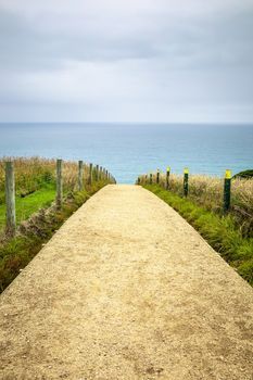 An image of the Path to Tunnel Beach New Zealand
