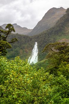 An image of the Fiordland National Park New Zealand