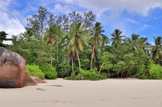 Sunny day beach view on the paradise islands Seychelles.