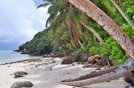 Sunny day beach view on the paradise islands Seychelles.