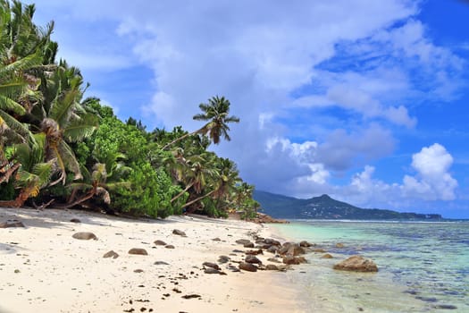 Sunny day beach view on the paradise islands Seychelles.