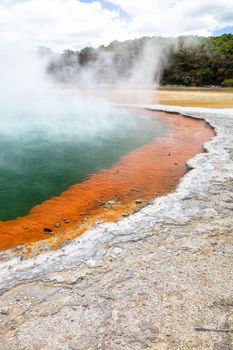 An image of the hot sparkling lake in New Zealand