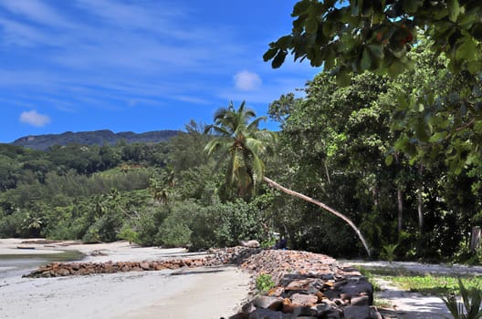 Sunny day beach view on the paradise islands Seychelles.