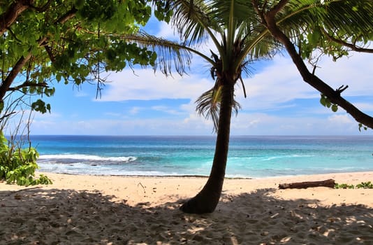 Sunny day beach view on the paradise islands Seychelles.