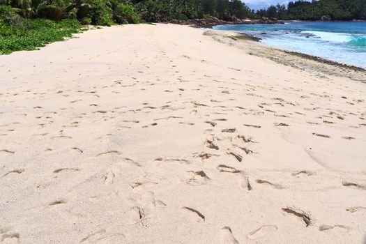 Sunny day beach view on the paradise islands Seychelles.