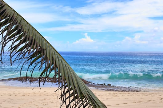 Sunny day beach view on the paradise islands Seychelles.