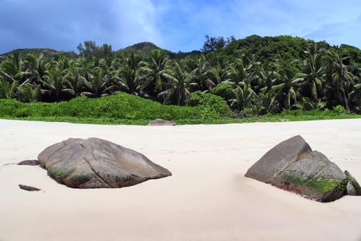 Sunny day beach view on the paradise islands Seychelles.