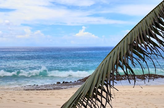 Sunny day beach view on the paradise islands Seychelles.