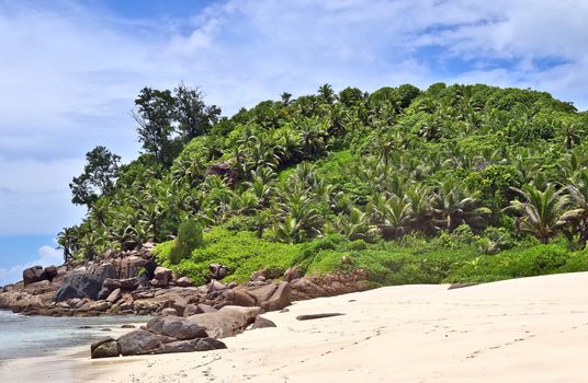 Sunny day beach view on the paradise islands Seychelles.