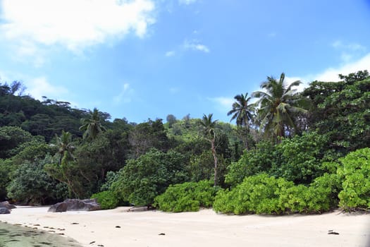 Sunny day beach view on the paradise islands Seychelles.