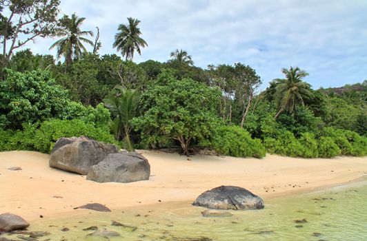 Sunny day beach view on the paradise islands Seychelles.