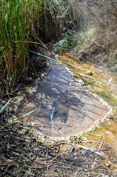 An image of a volcanic activities at waimangu new zealand