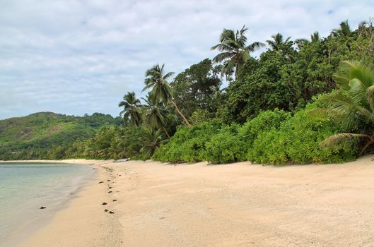 Sunny day beach view on the paradise islands Seychelles.