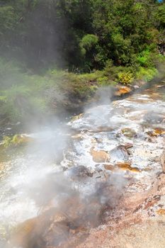 An image of a volcanic activities at waimangu new zealand