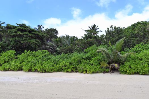 Sunny day beach view on the paradise islands Seychelles.