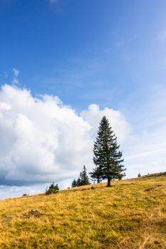 An image of a landscape scenery near Freiburg Breisgau south Germany