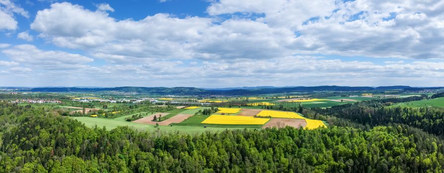 An image of a flight over some rape fields in south Germany near Sulz