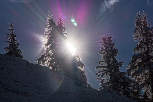 pecleret,chamonix,haute savoie,france