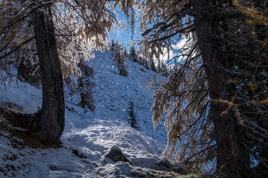 pecleret,chamonix,haute savoie,france