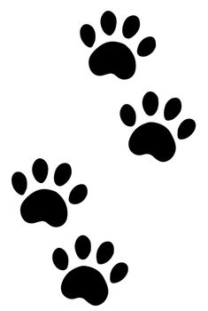 An illustration of paws of a dog