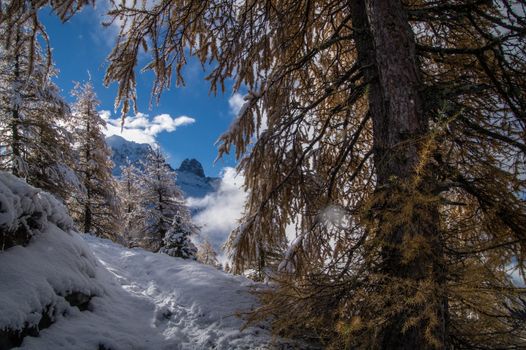 pecleret,chamonix,haute savoie,france