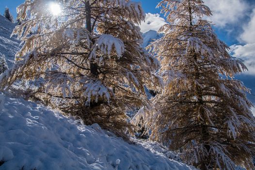pecleret,chamonix,haute savoie,france